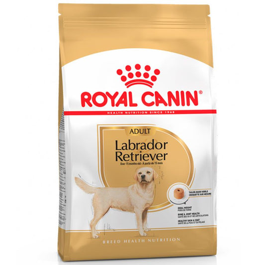 Royal Canin Labrador Retriever Adulto