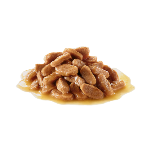 Royal Canin Maxi Puppy Pouch