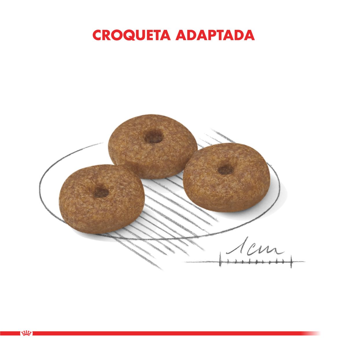 Royal Canin Mini Adult 12+