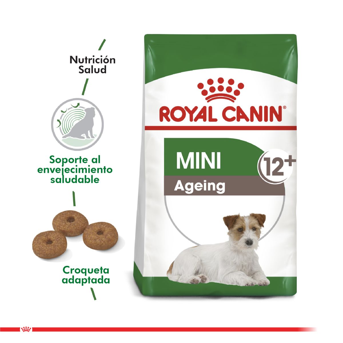 Royal Canin Mini Adult 12+