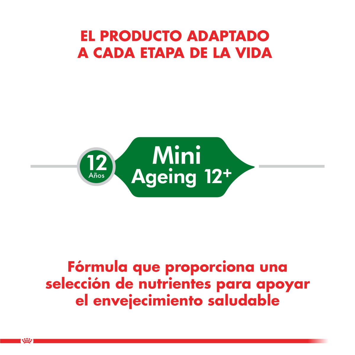 Royal Canin Mini Adult 12+