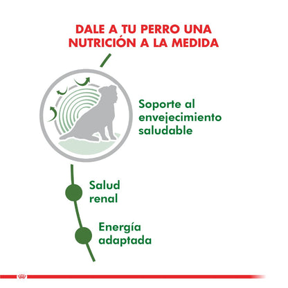 Royal Canin Mini Adult 12+