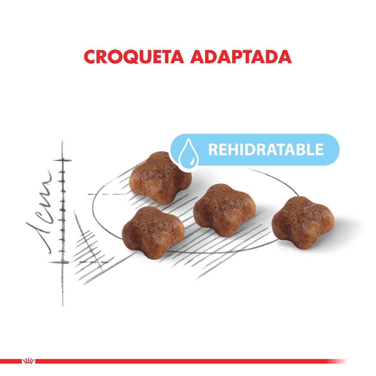 Royal Canin Mother and Babycat