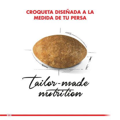 Royal Canin Persian Adulto