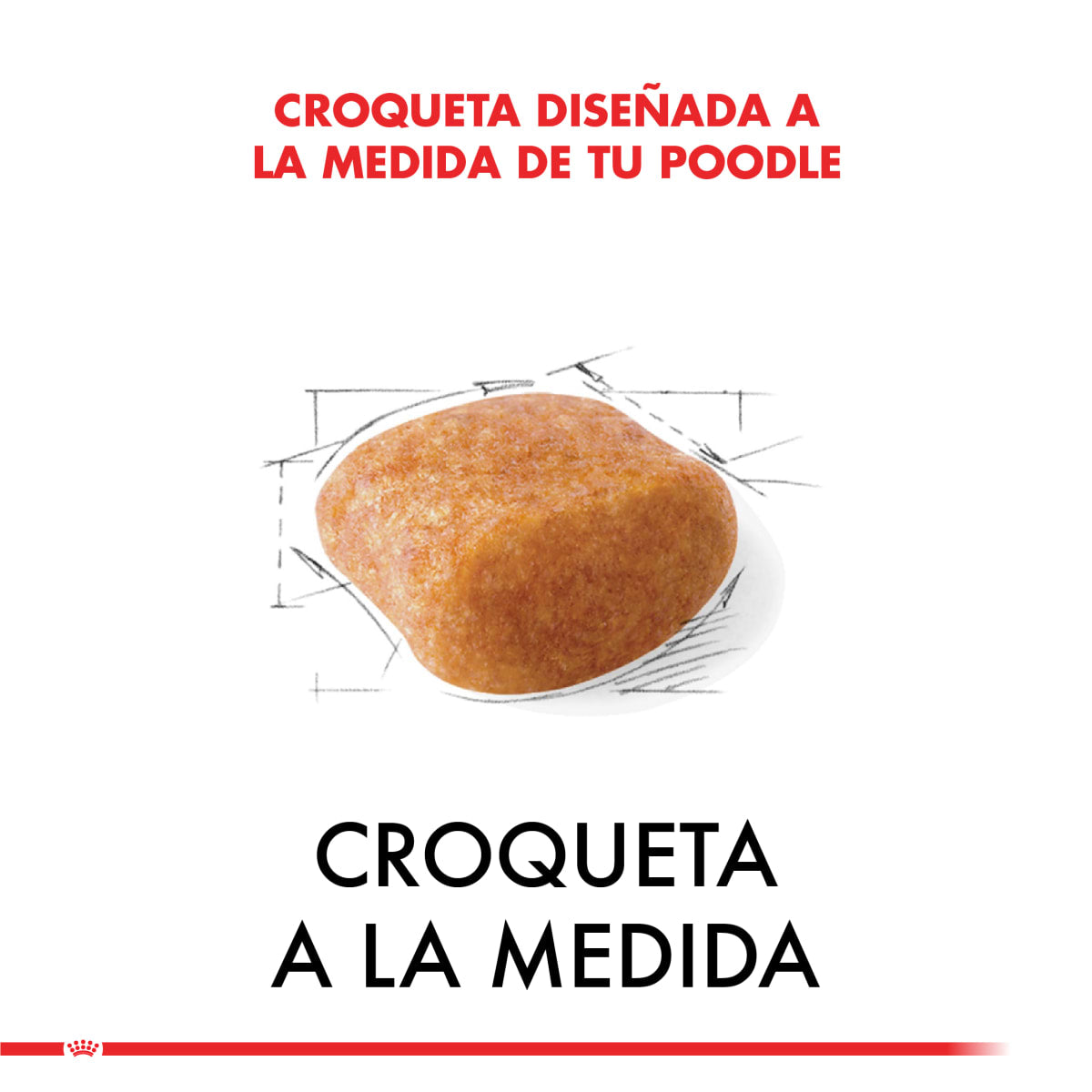 Royal Canin Poodle Adulto