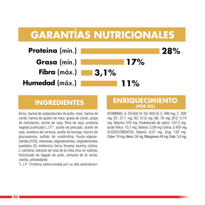 Royal Canin Poodle Adulto