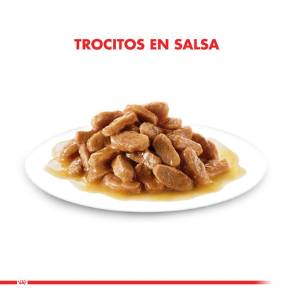 Royal Canin Mini Adult Pouch