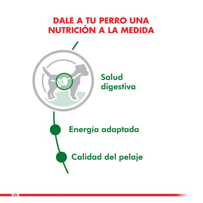 Royal Canin Mini Adult Pouch