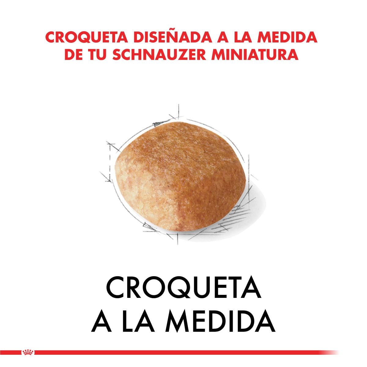 Royal Canin Schnauzer Adulto