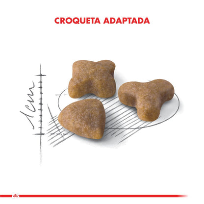 Royal Canin Sensible Felino