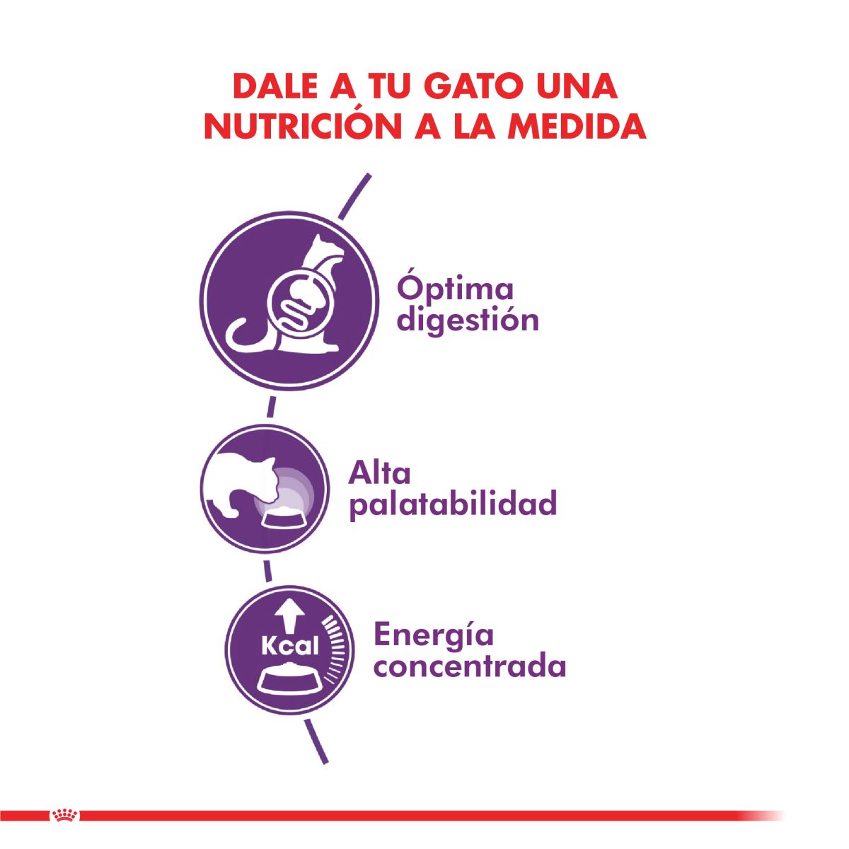 Royal Canin Sensible Felino