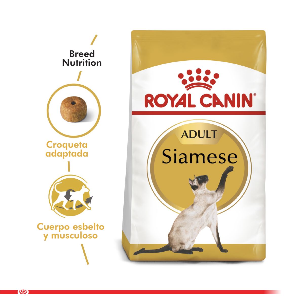Royal Canin Siamese Adulto