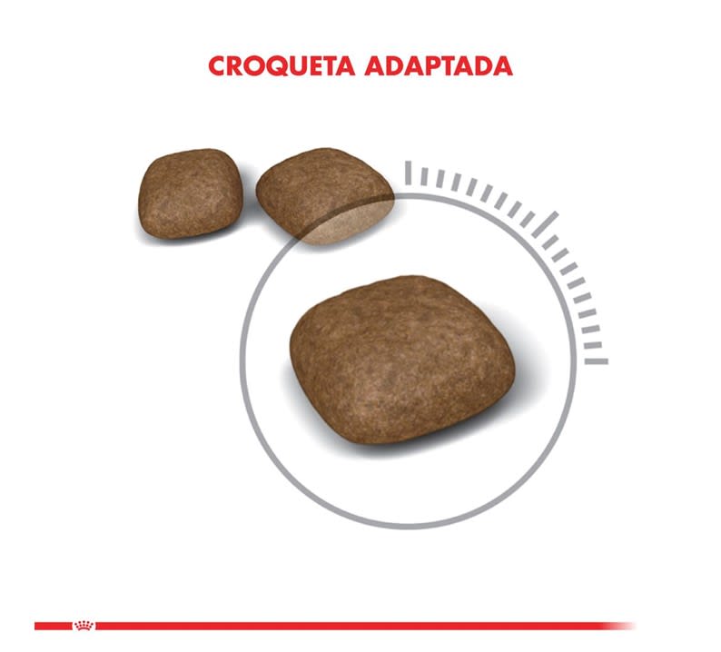 Royal Canin Urinary Care Felino