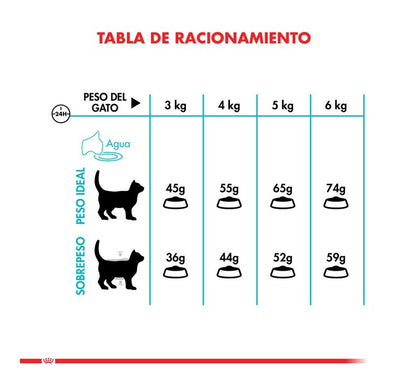 Royal Canin Urinary Care Felino