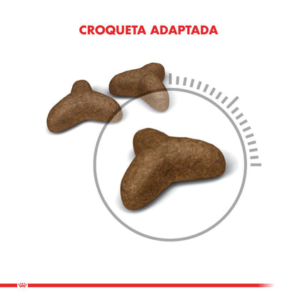 Royal Canin Weight Light Felino