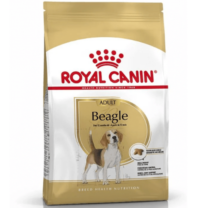 Royal Canin Beagle Adulto