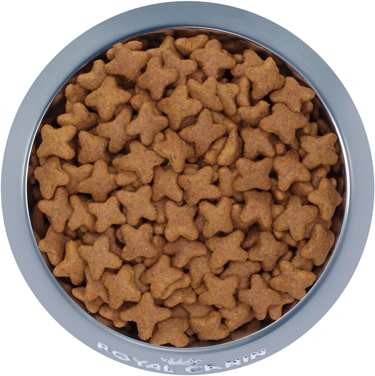 Royal Canin Beagle Adulto