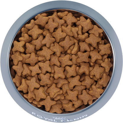 Royal Canin Beagle Adulto