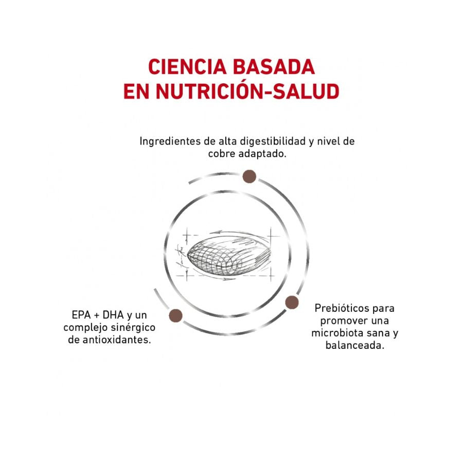 Royal Canin Hepatic Canino