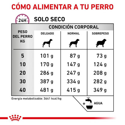 Royal Canin Mobility Support Canino