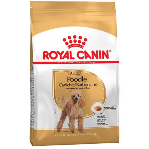 Royal Canin Poodle Adulto