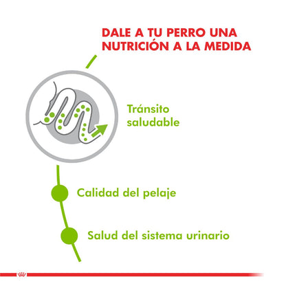 Royal Canin X-Small Adult